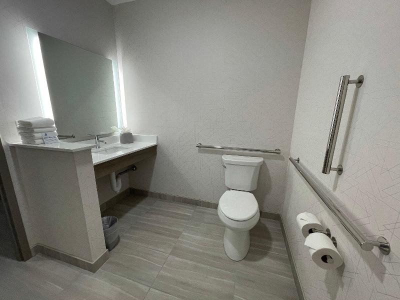 Holiday Inn Express & Suites Ft. Smith - Airport image