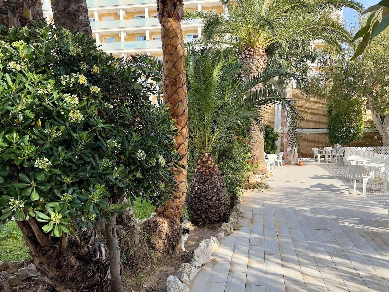Villa Naranjos image