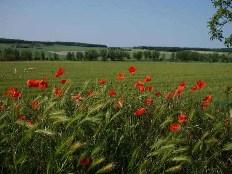 Logis Auberge De Crissay image