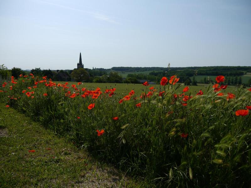 Logis Auberge De Crissay image