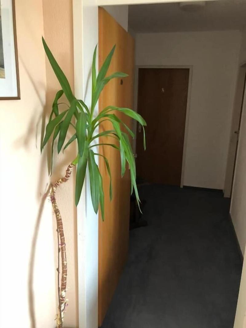 Hotel Junkerhaus image