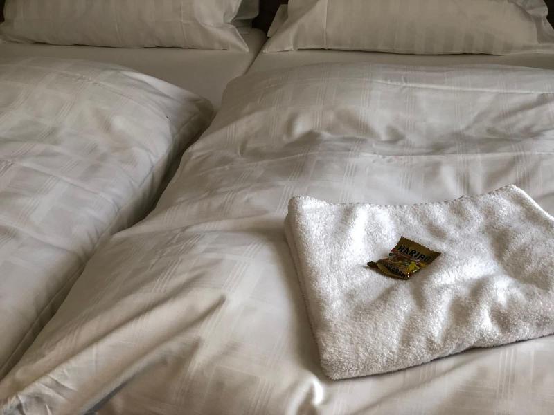 Hotel Junkerhaus image