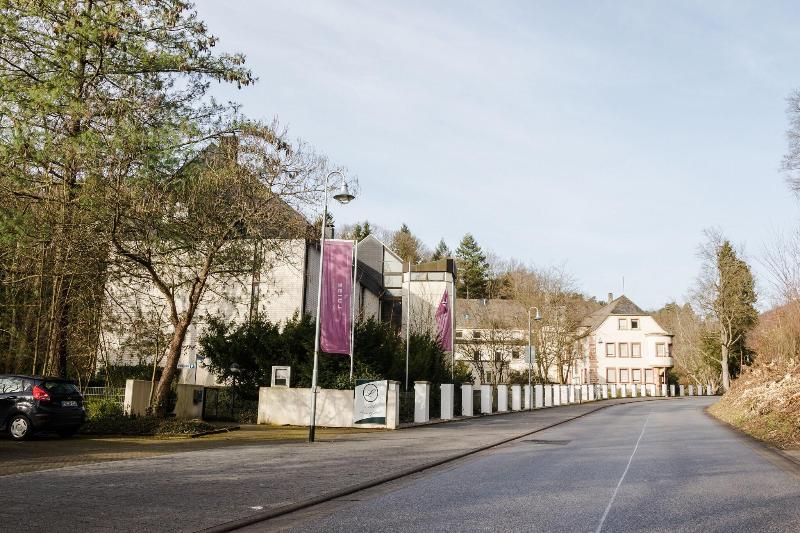 Hotel Luisenpark image