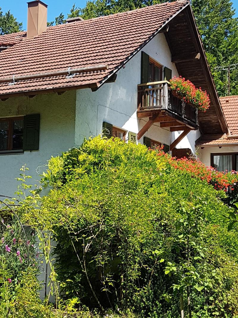 Martina's place image