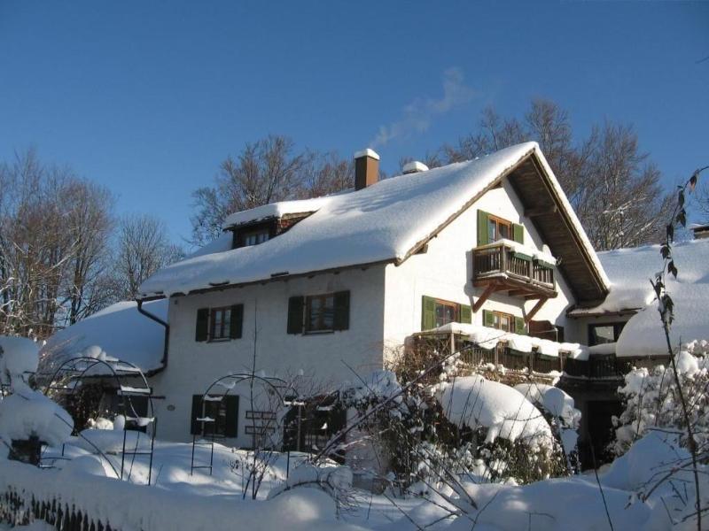 Martina's place image