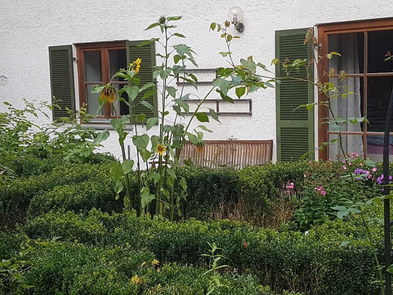 Martina's place image