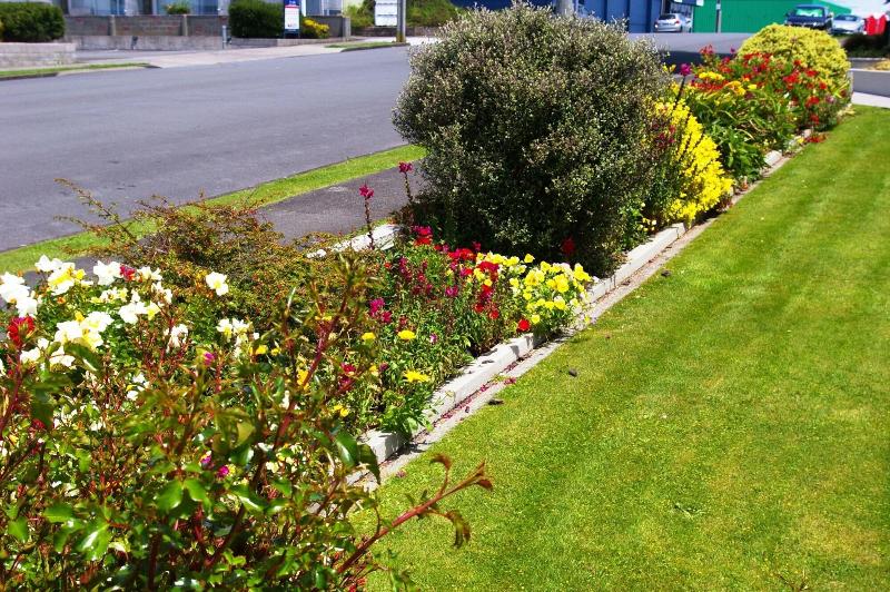 Totara Lodge Motel image