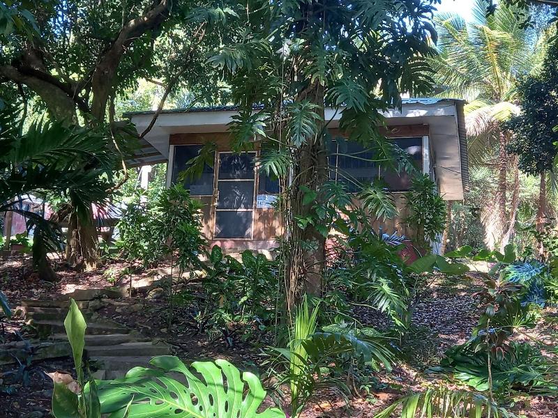 The Maya Mountain Lodge image