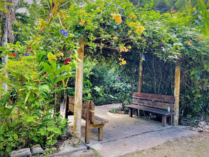 The Maya Mountain Lodge image