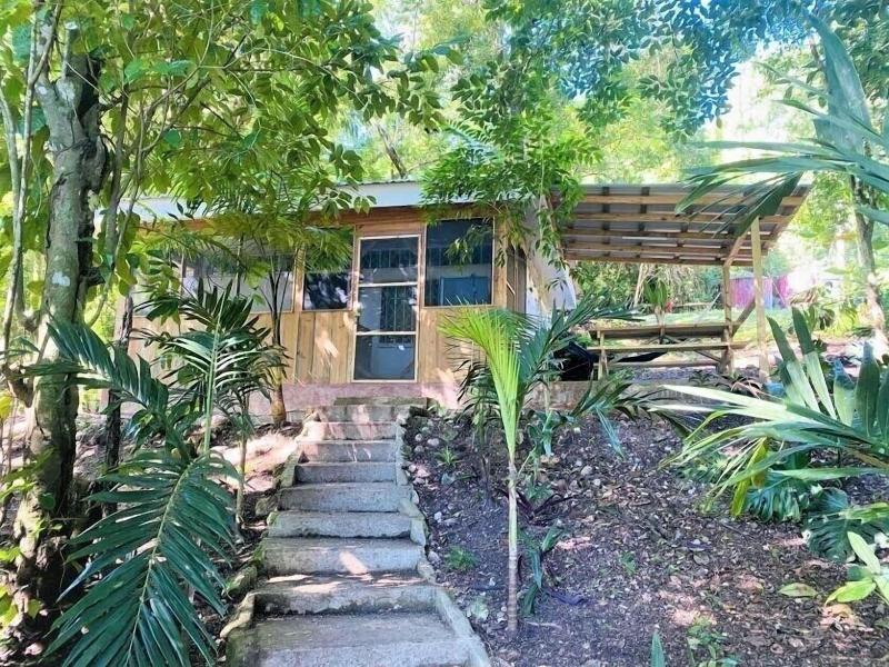 The Maya Mountain Lodge image