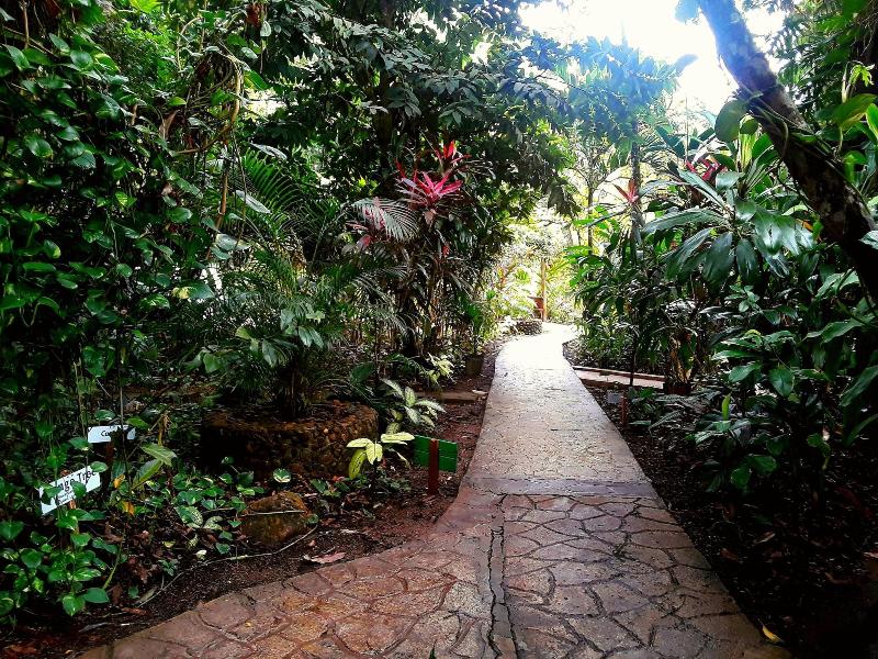 The Maya Mountain Lodge image