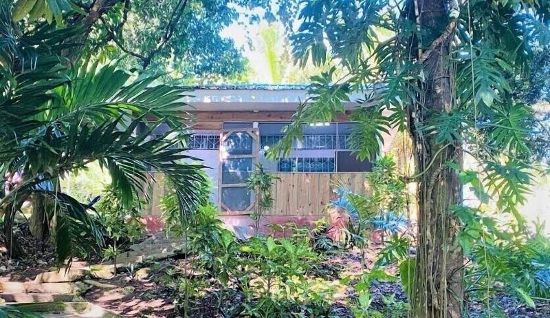 The Maya Mountain Lodge image