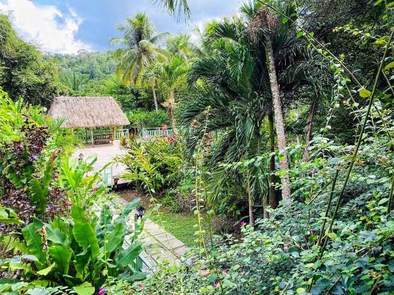The Maya Mountain Lodge image