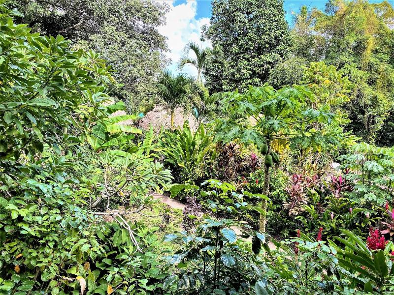 The Maya Mountain Lodge image
