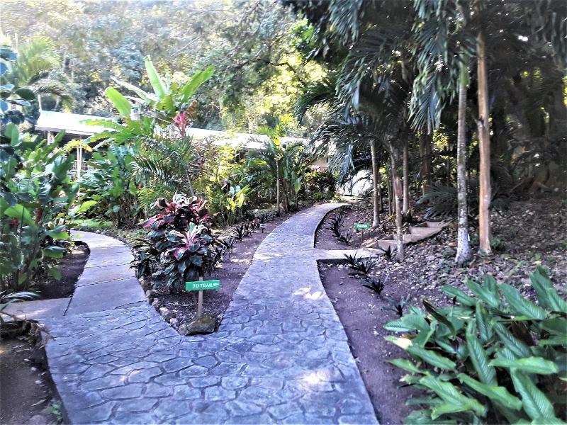 The Maya Mountain Lodge image