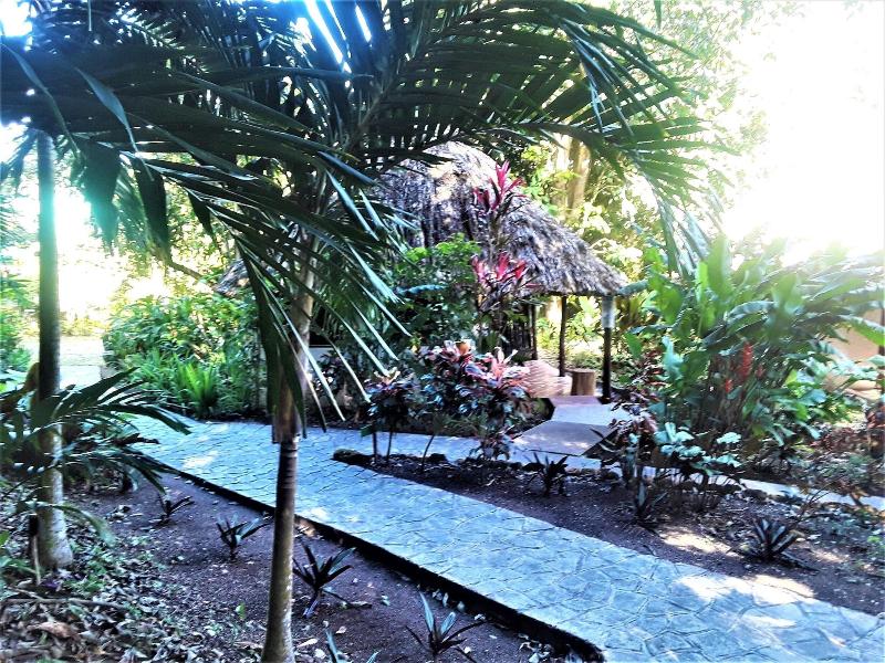 The Maya Mountain Lodge image