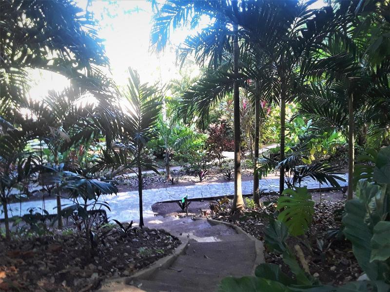 The Maya Mountain Lodge image