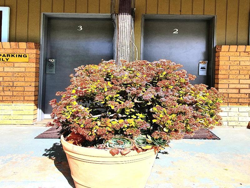 Young Goldrush Motel image