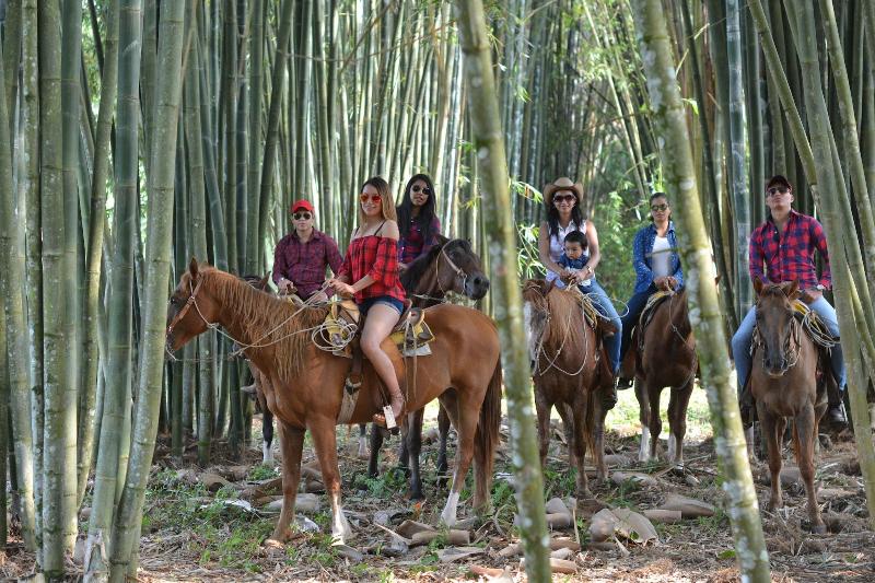 Rancho El Paraiso De Ayotoxco image