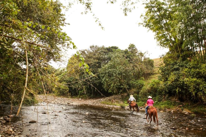 Rancho El Paraiso De Ayotoxco image