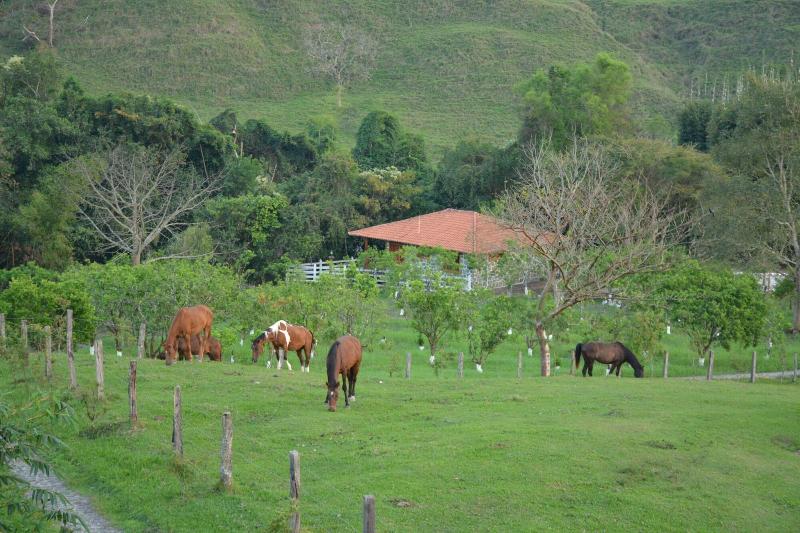 Rancho El Paraiso De Ayotoxco image