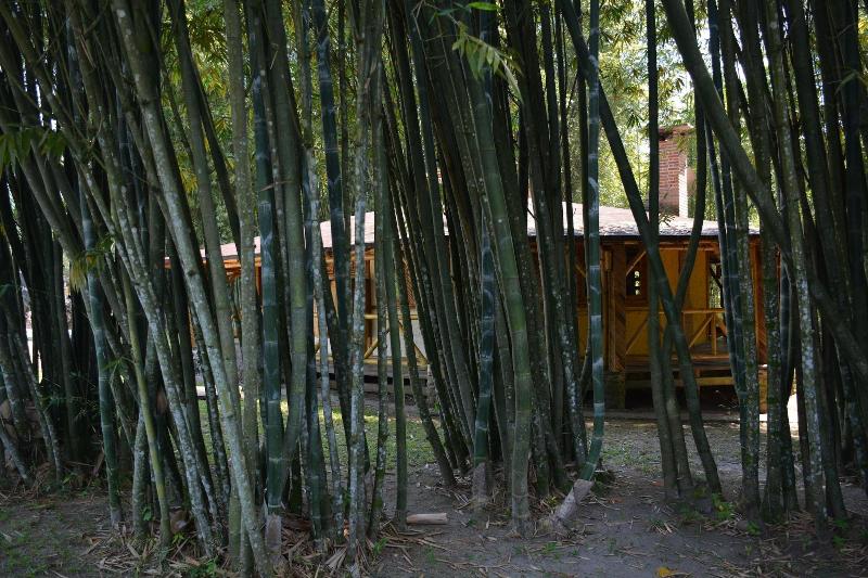 Rancho El Paraiso De Ayotoxco image