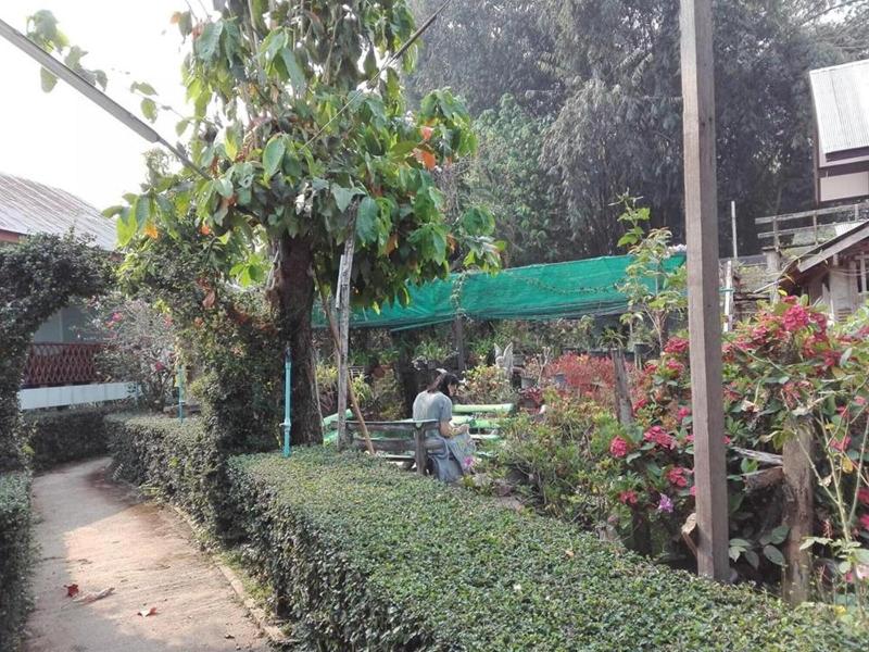 Mr.Jan Guest House image