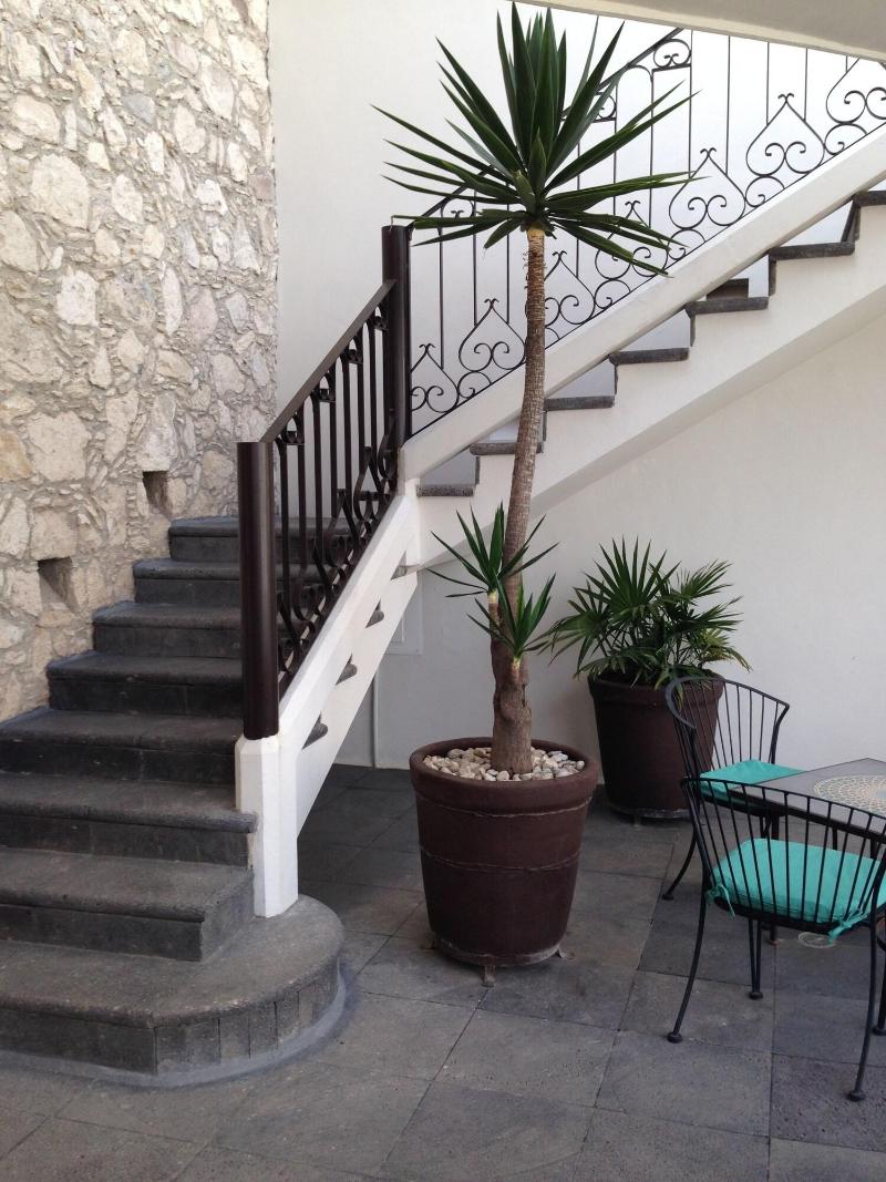 Hotel Boutique Casa Mateo image