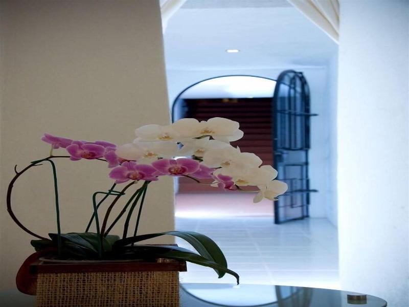 Colibrí Hotel B&B image