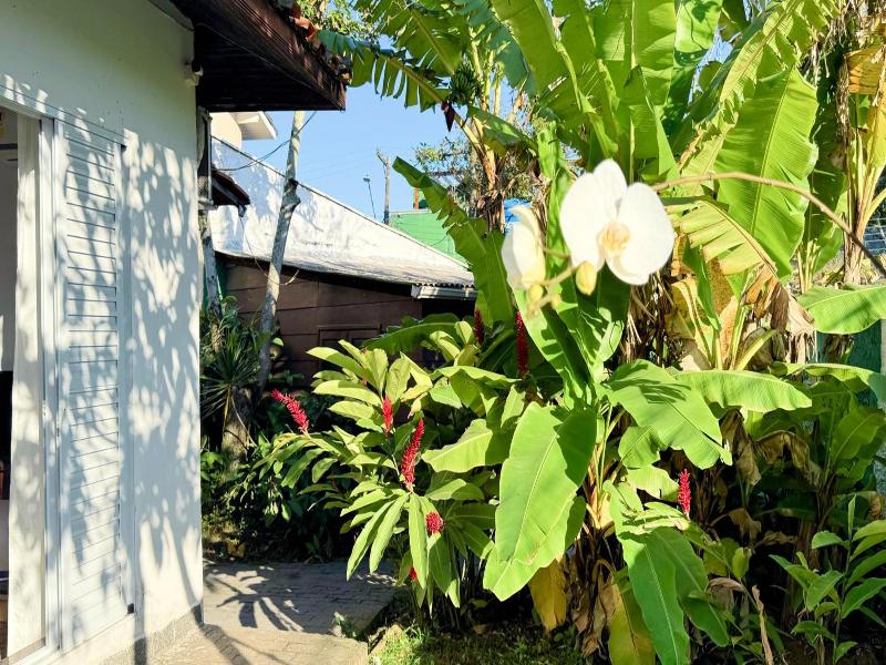 Tombo Beach Hostel — photo 187