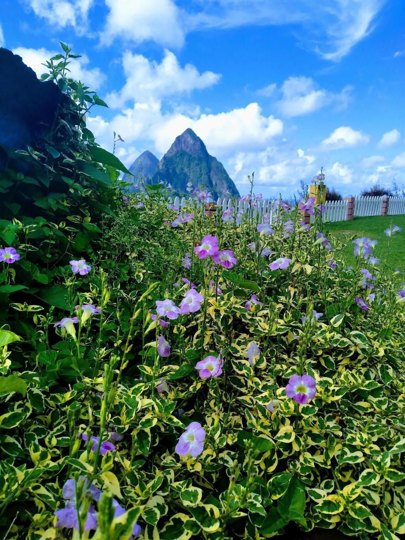 La Haut Resort image