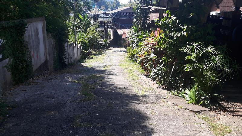 The Like View Guesthouse image