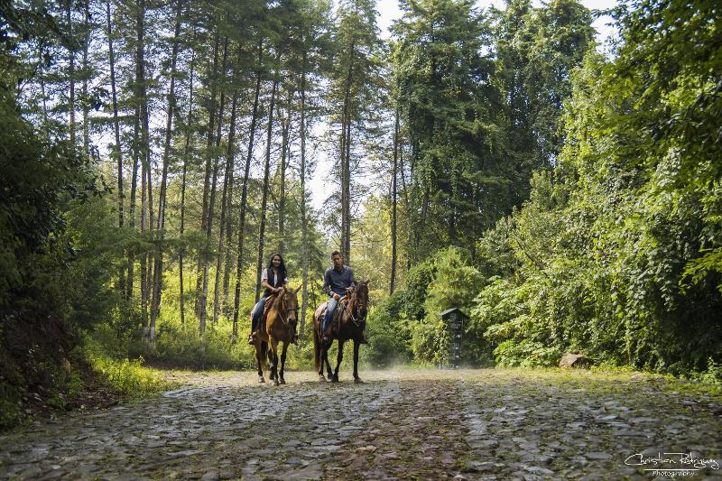 Zirahuen Forest And Resort image