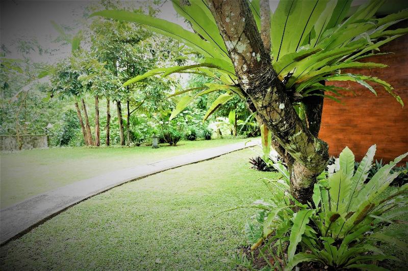 Villa Kendi image