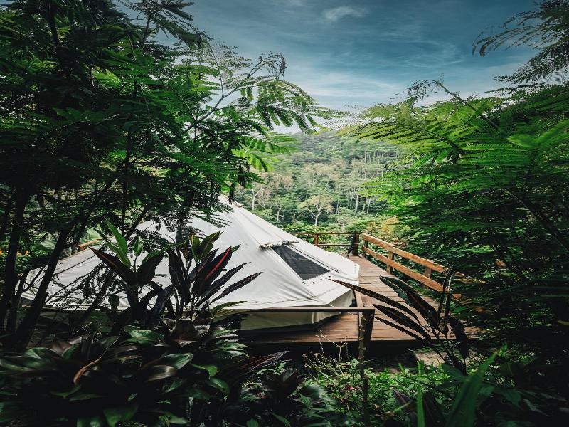 Ekommunity Farmstay & Yoga image