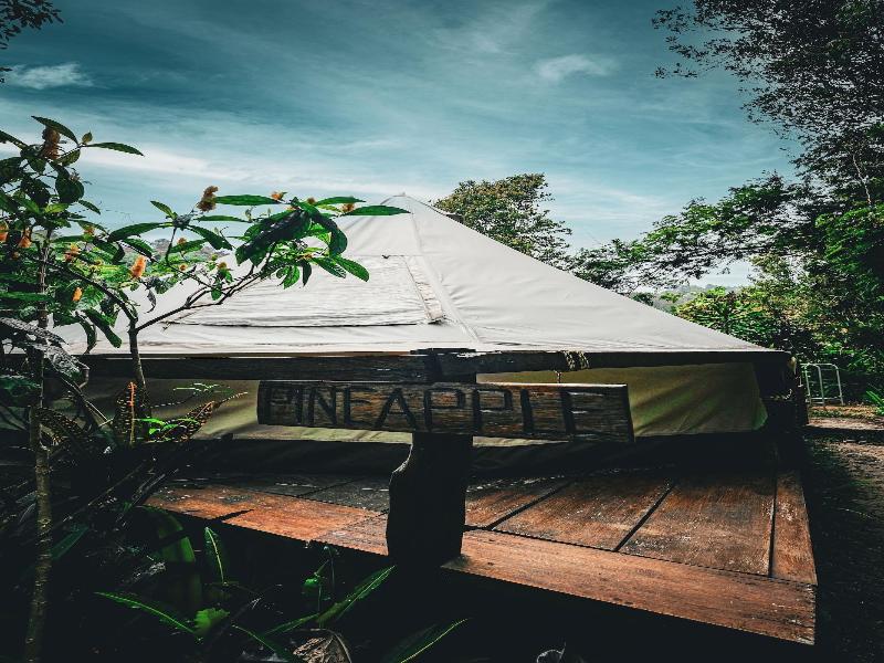 Ekommunity Farmstay & Yoga image