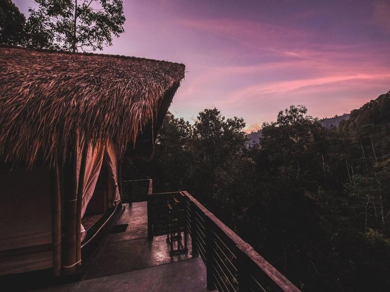 Ekommunity Farmstay & Yoga image