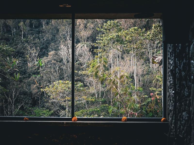 Ekommunity Farmstay & Yoga image