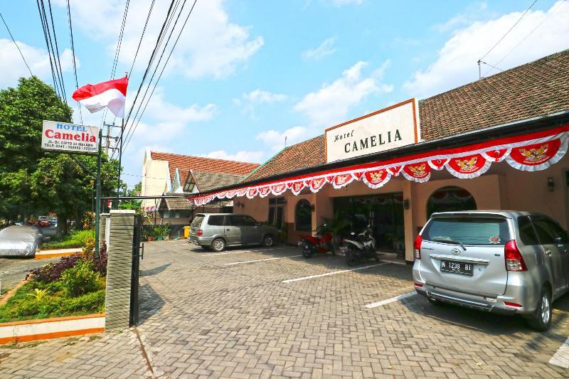 Camelia Hotel