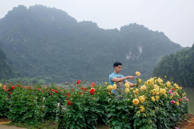 Thung Nham Hotel & Resort image
