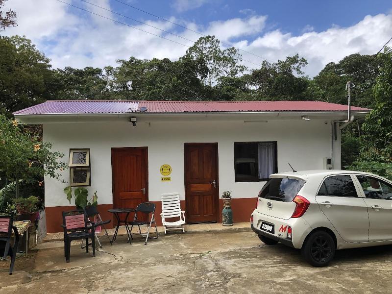 Papaya Guesthouse image