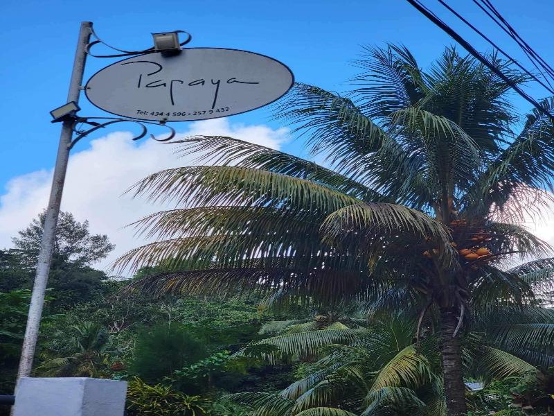 Papaya Guesthouse image