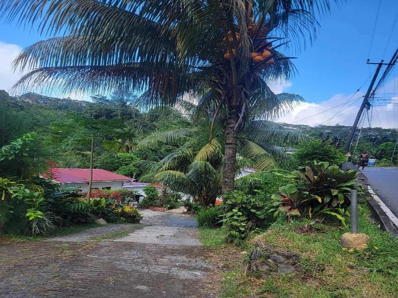 Papaya Guesthouse image
