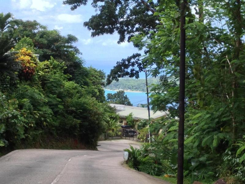 Papaya Guesthouse image