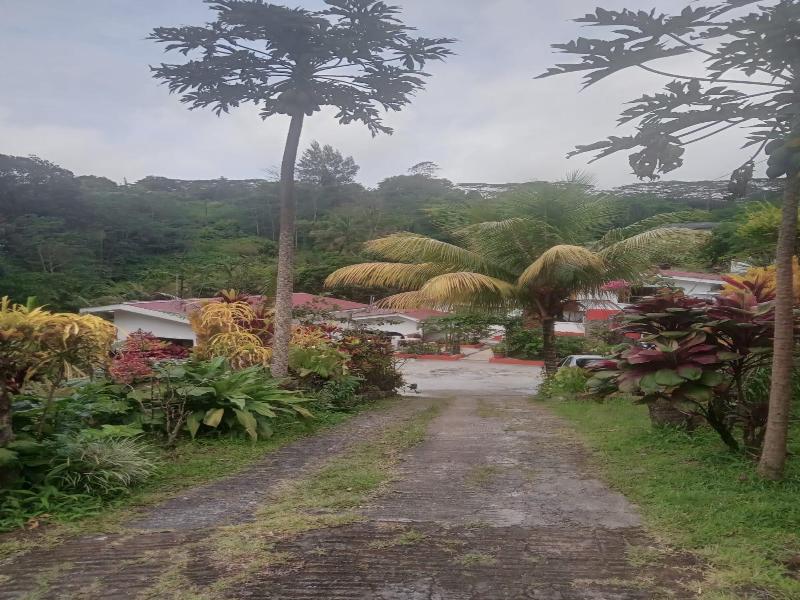Papaya Guesthouse image