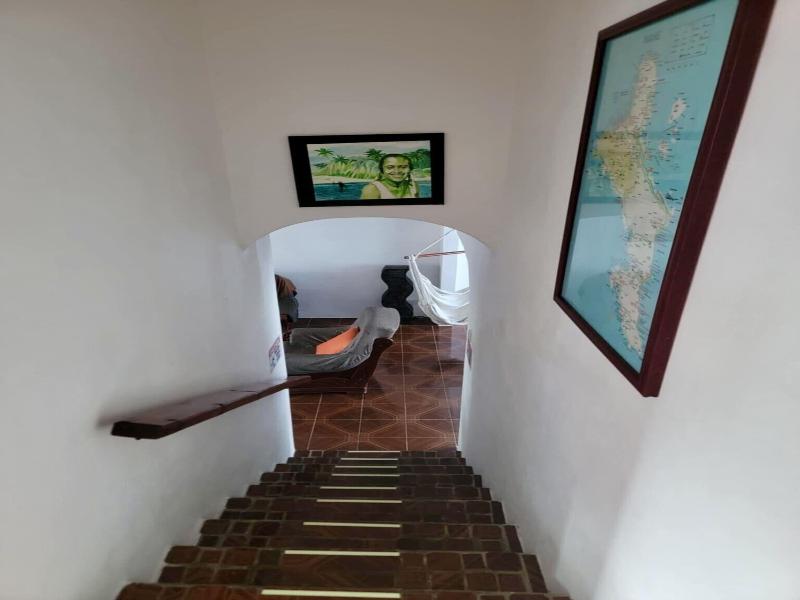 Papaya Guesthouse image