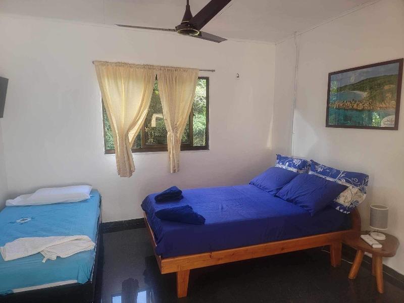 Papaya Guesthouse image