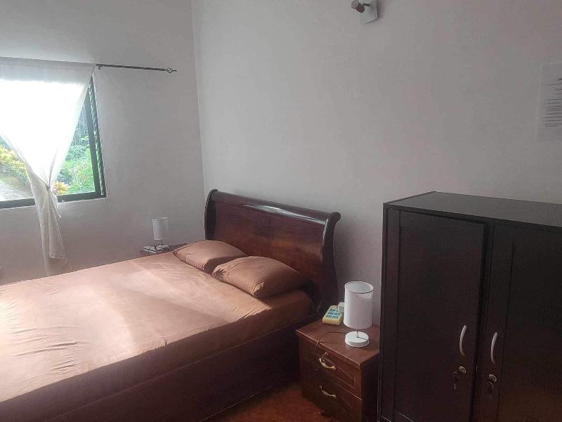 Papaya Guesthouse image