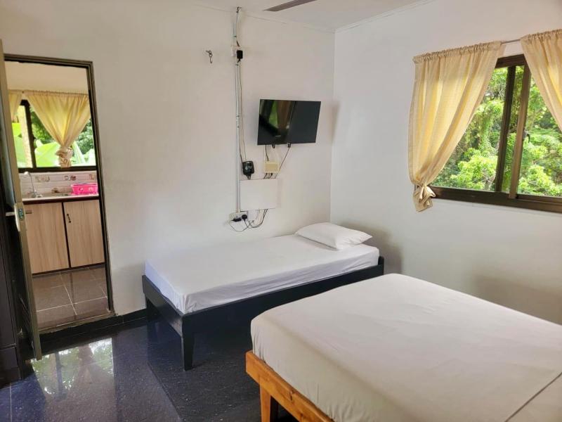 Papaya Guesthouse image