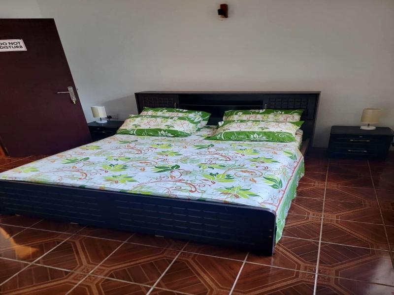 Papaya Guesthouse image